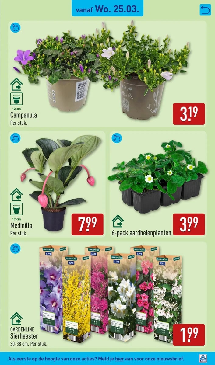 ALDI folder – pagina 41
