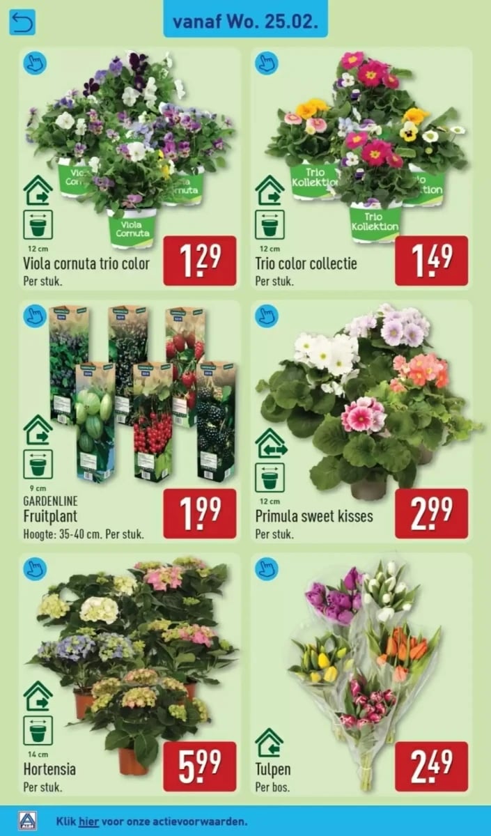 ALDI folder – pagina 4