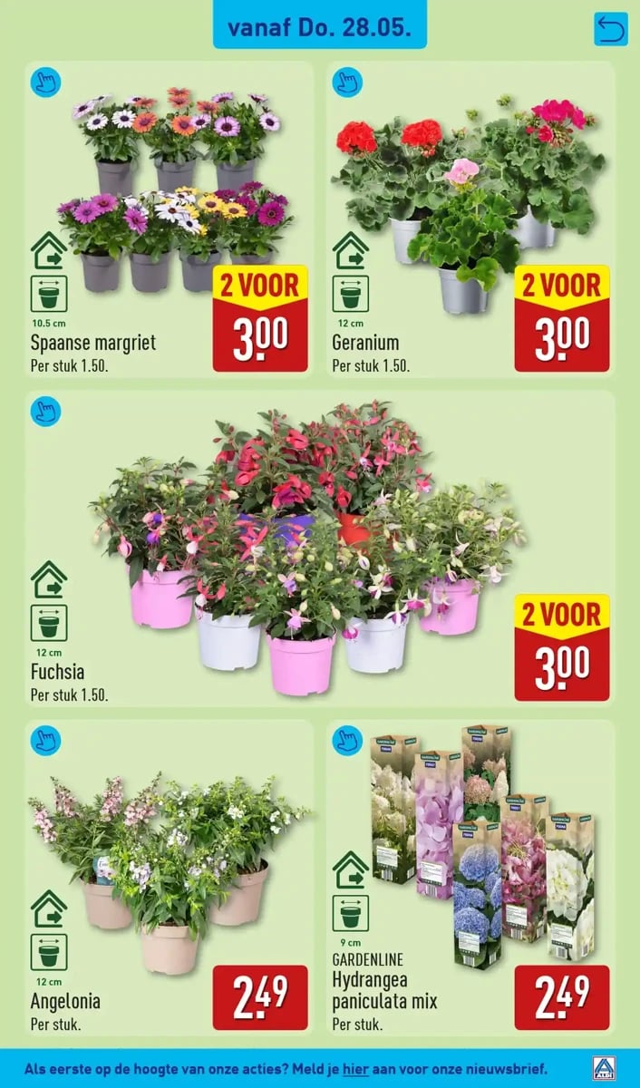 ALDI folder – pagina 39