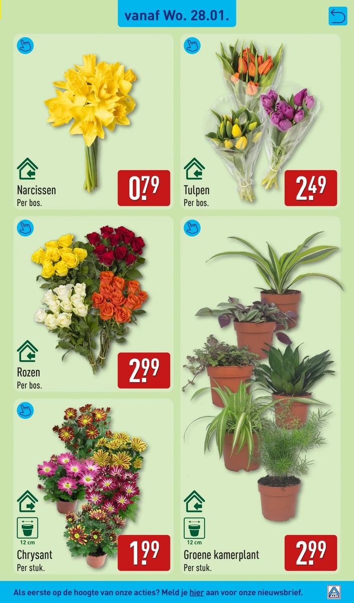 ALDI folder – pagina 31