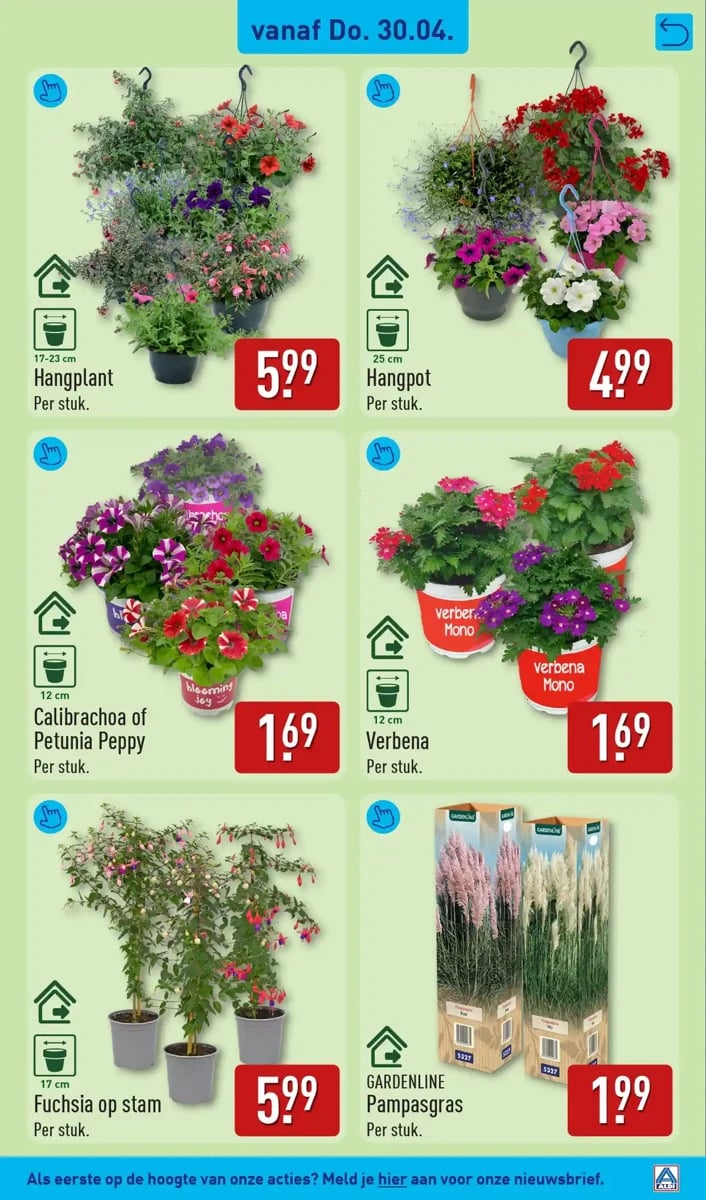 ALDI folder – pagina 39