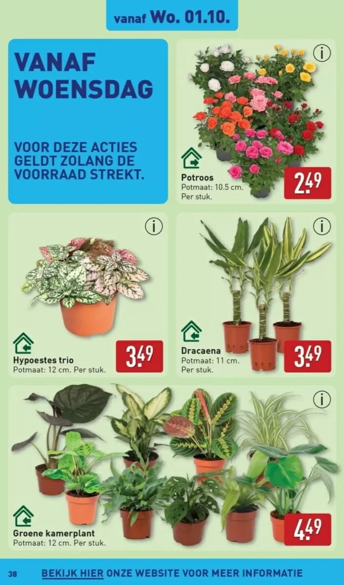 ALDI folder – pagina 38