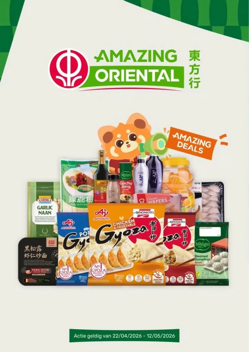 Amazing Oriëntal folder – pagina 1