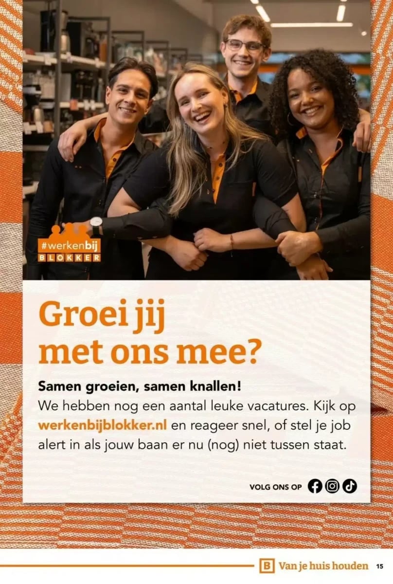 Blokker folder – pagina 15