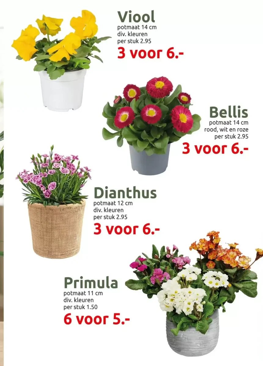 Deka Tuin folder – pagina 3