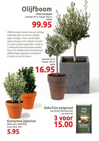 DekaTuin potgrond aanbieding bij Deka-tuin – geldig van 02.03.2026 t/m 15.03.2026