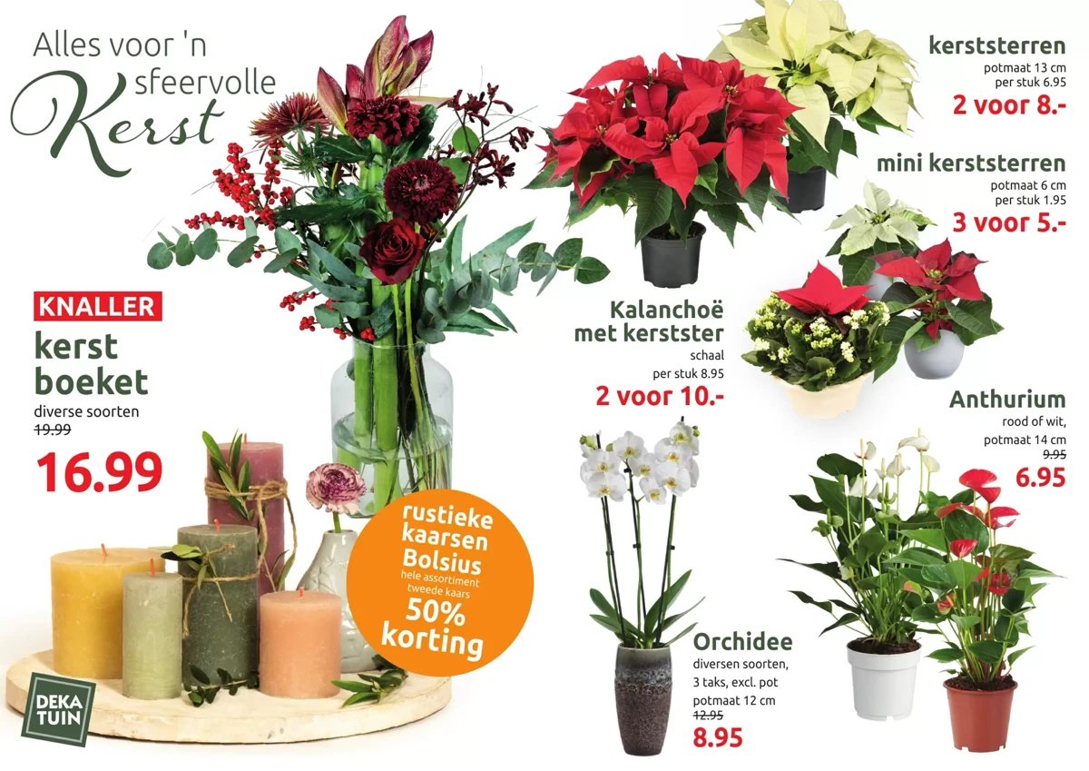 Deka Tuin folder – pagina 2