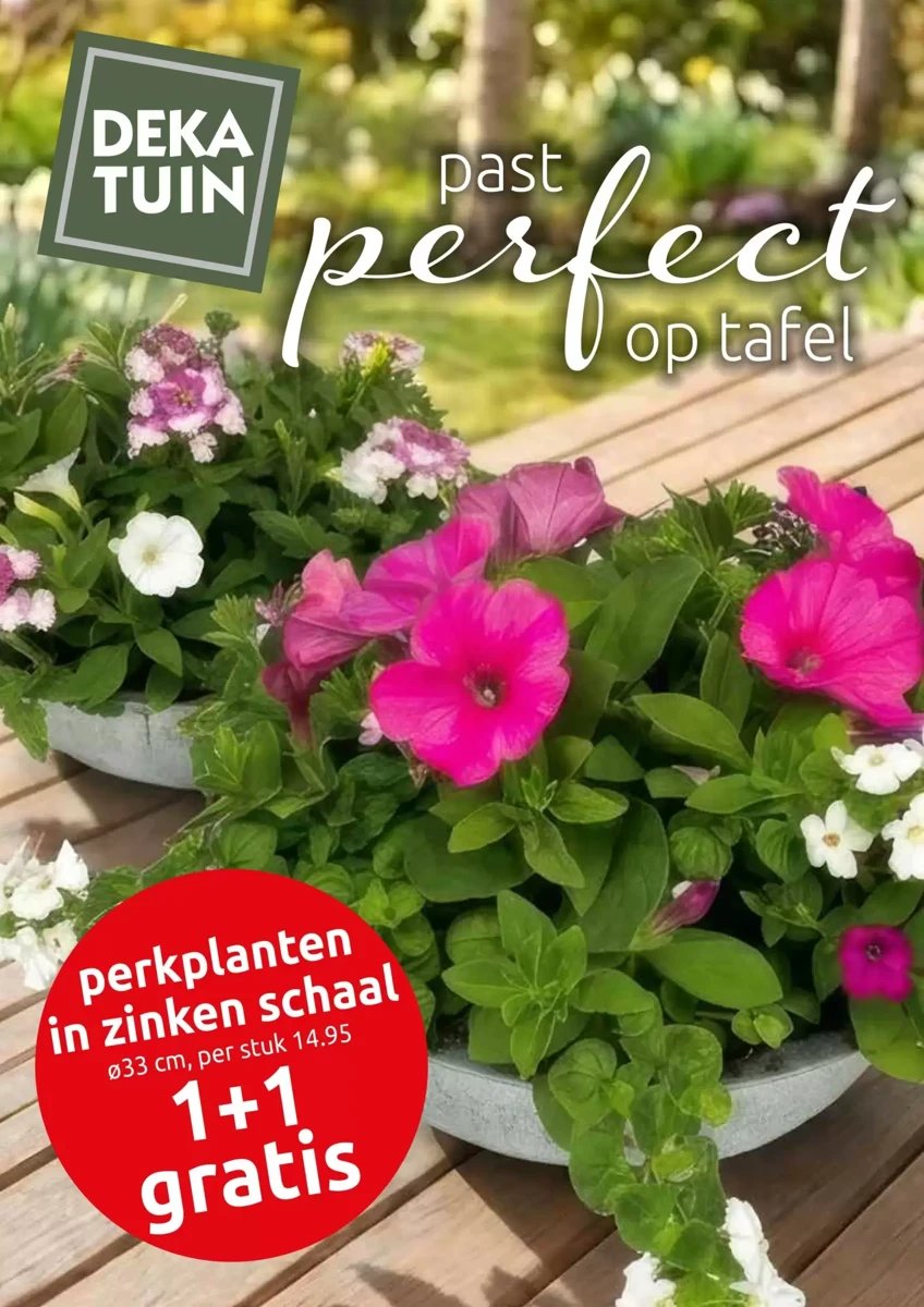Deka Tuin folder – pagina 1