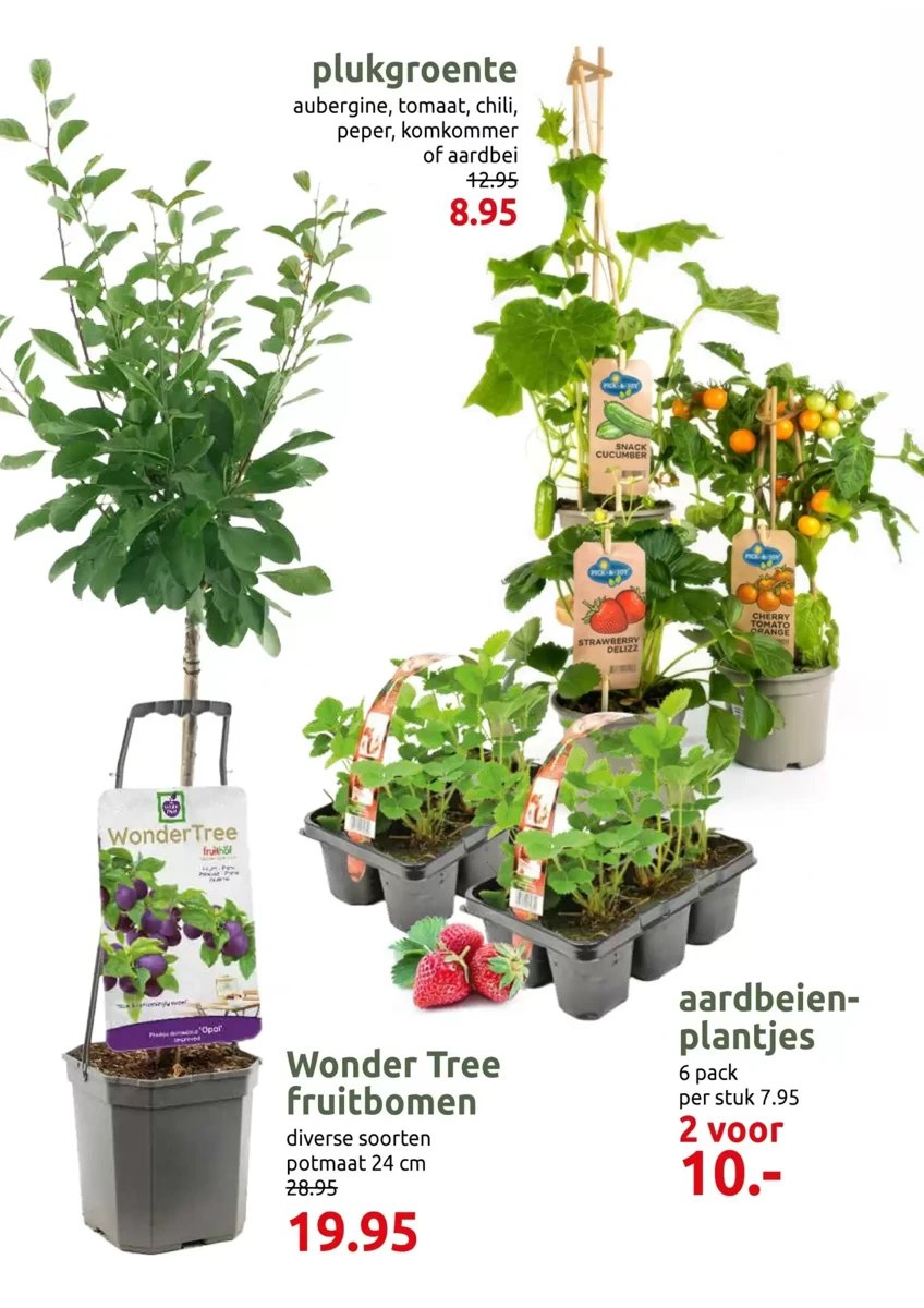 Deka Tuin folder – pagina 8