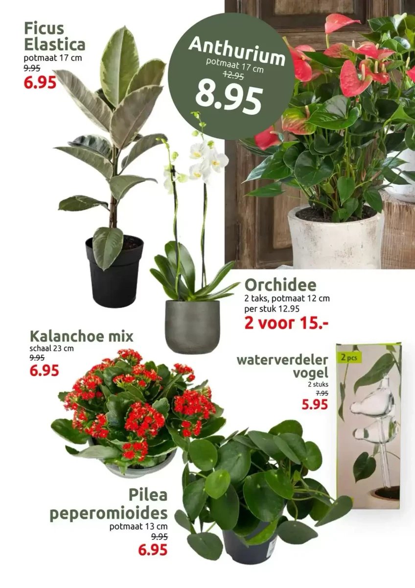 Deka Tuin folder – pagina 3