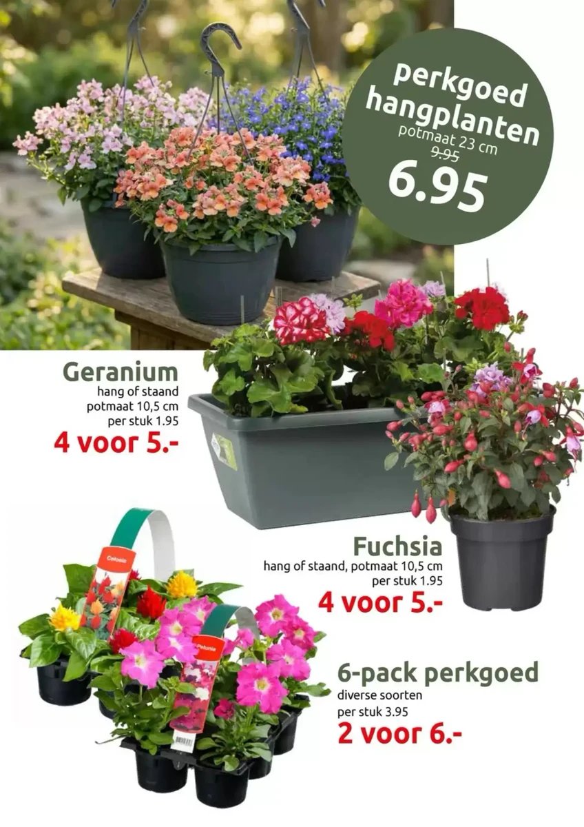 Deka Tuin folder – pagina 6