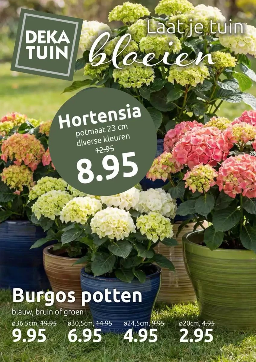 Deka Tuin folder – pagina 1