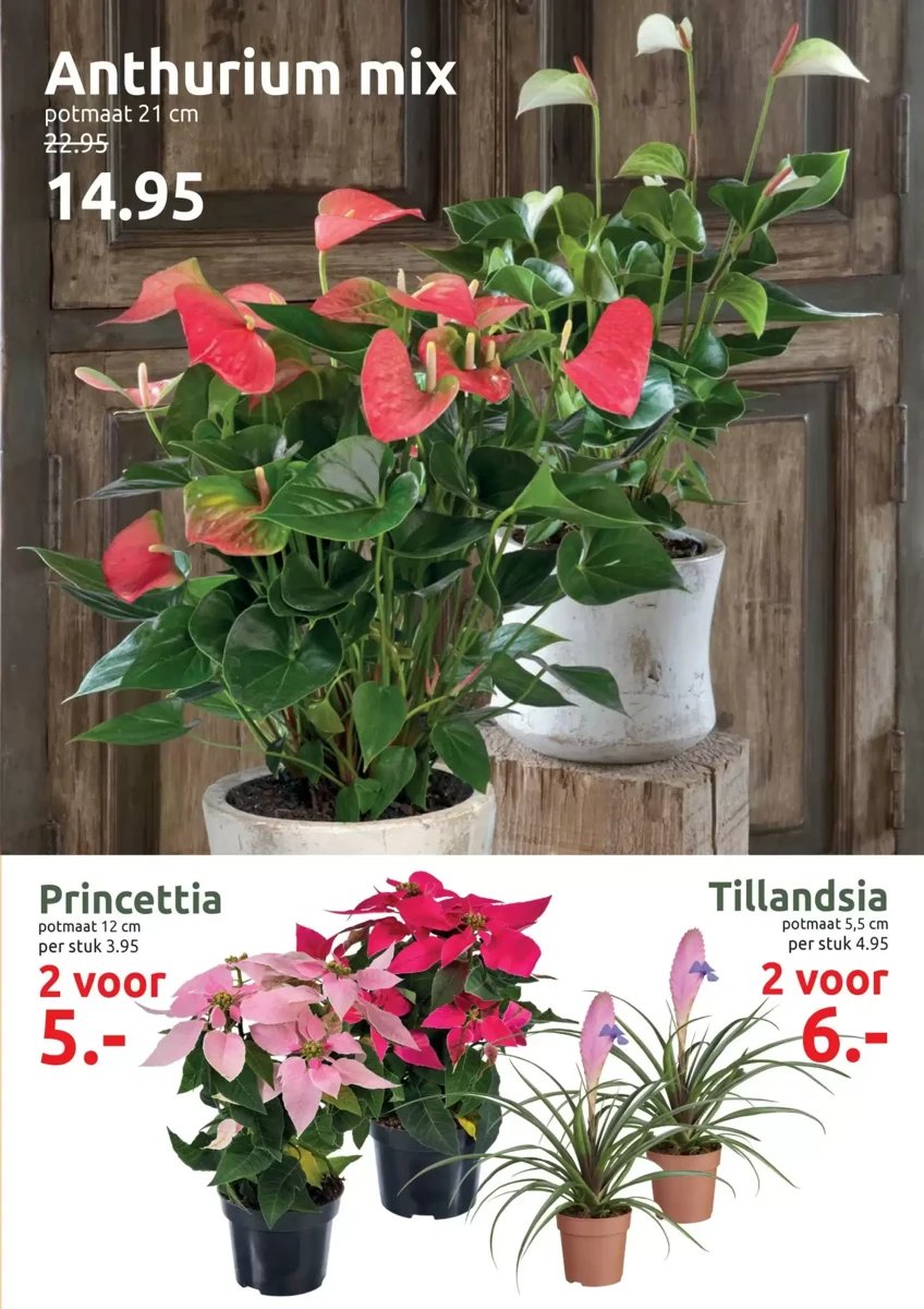 Deka Tuin folder – pagina 3