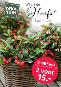 Deka Tuin Folder – 13.10.2025 – 26.10.2025