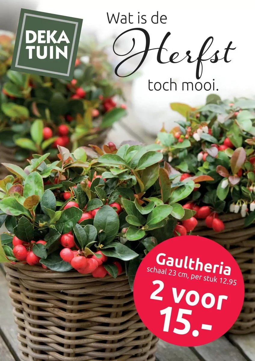 Deka Tuin folder – pagina 1