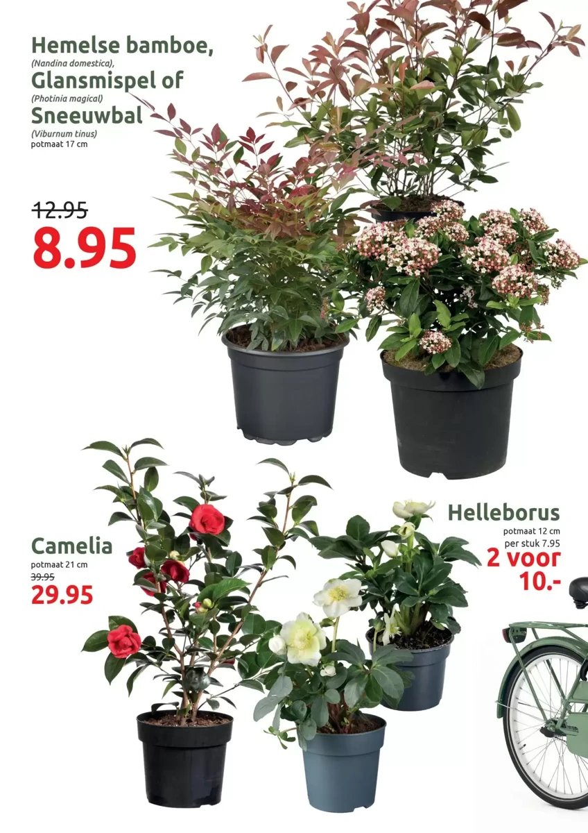 Deka Tuin folder – pagina 6