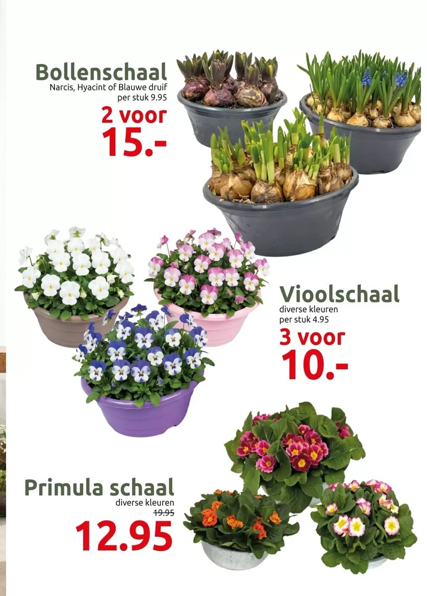 Deka Tuin folder – pagina 3