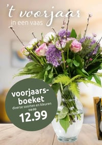 voorjaarsboeket aanbieding bij Deka-tuin – geldig van 23.03.2026 t/m 29.03.2026