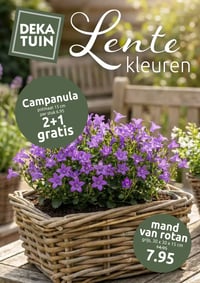Campanula aanbieding bij Deka-tuin – geldig van 23.03.2026 t/m 29.03.2026