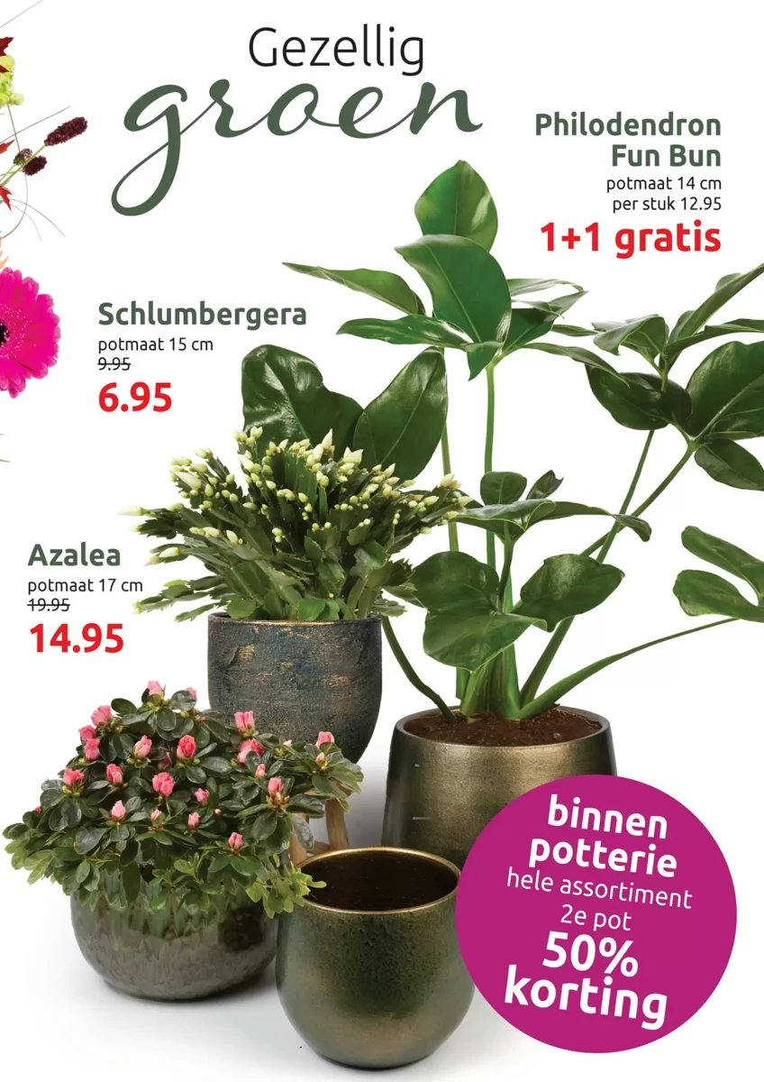 Deka Tuin folder – pagina 3