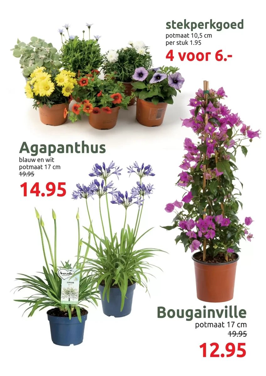 Deka Tuin folder – pagina 6