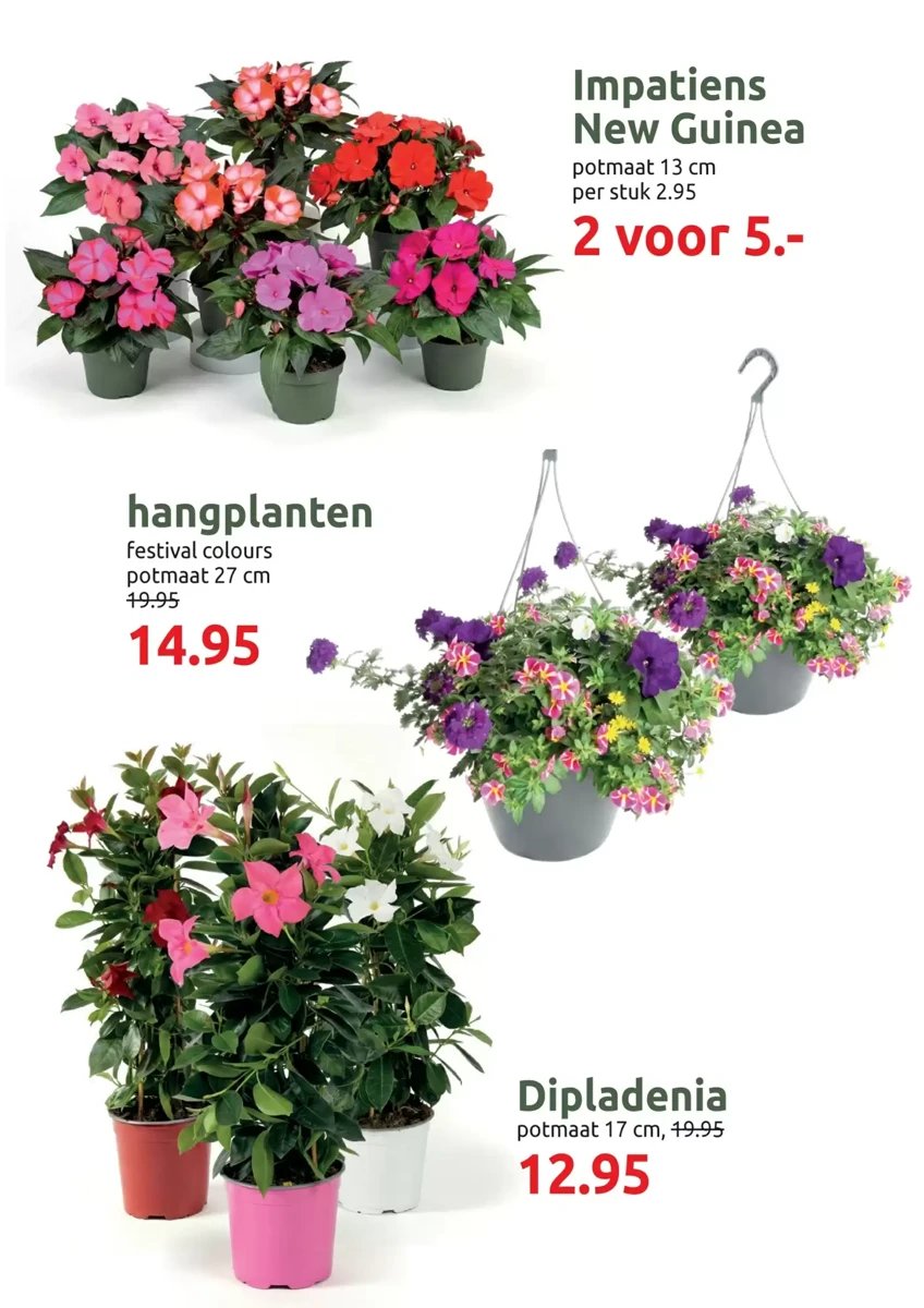 Deka Tuin folder – pagina 7