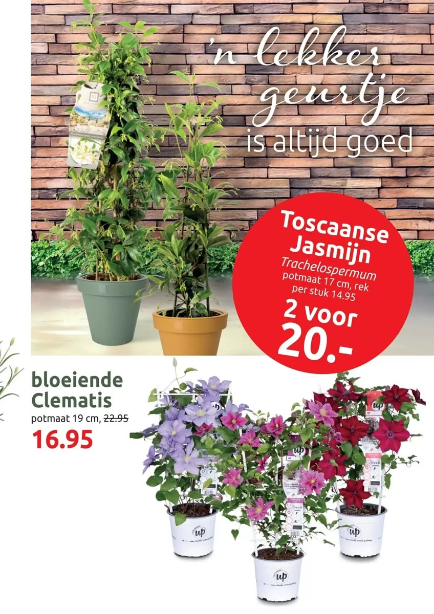 Deka Tuin folder – pagina 9