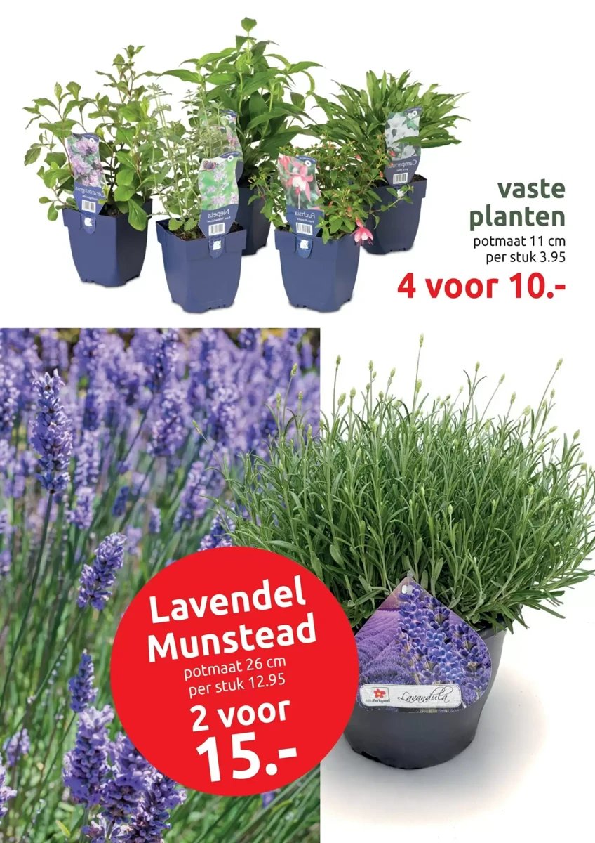 Deka Tuin folder – pagina 8