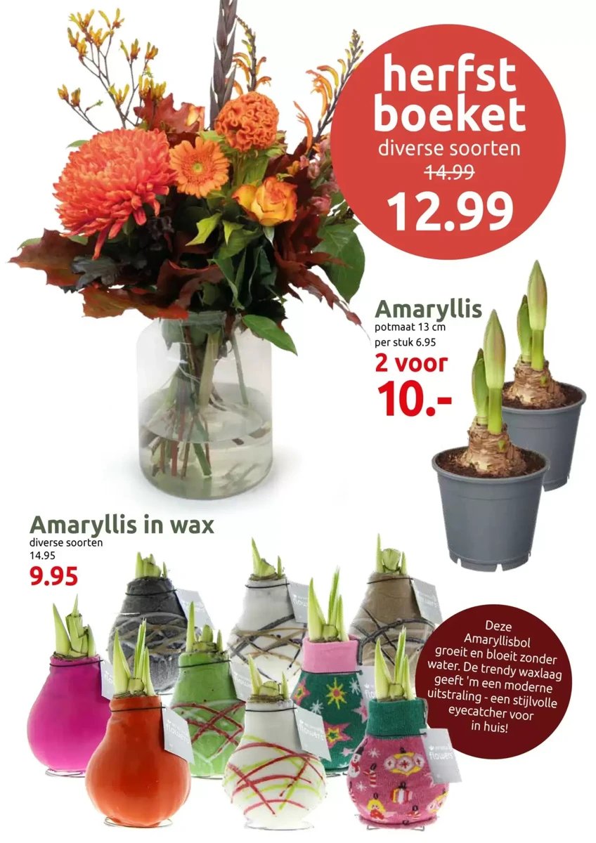 Deka Tuin folder – pagina 2