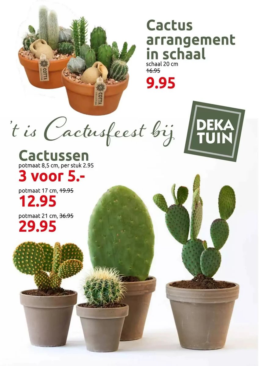 Deka Tuin folder – pagina 3