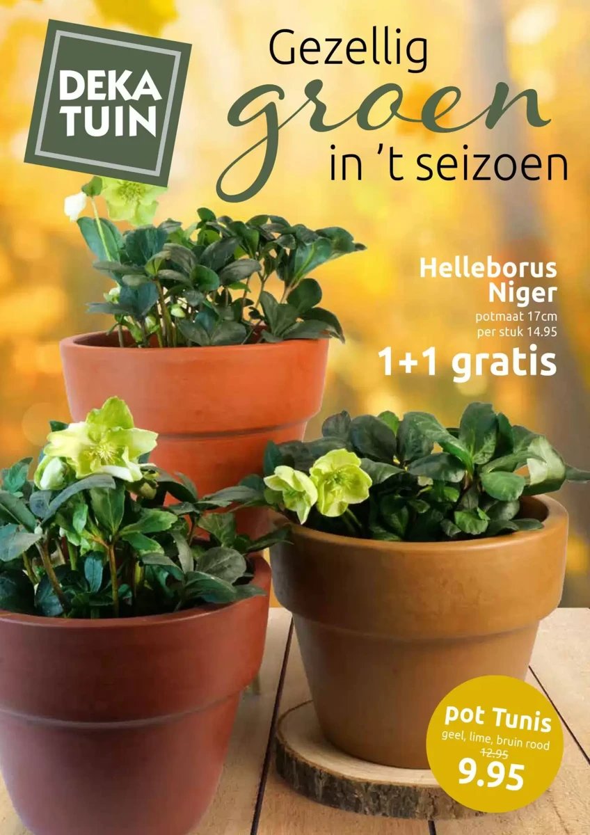 Deka Tuin folder – pagina 1
