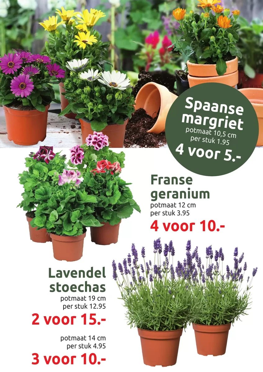 Deka Tuin folder – pagina 4