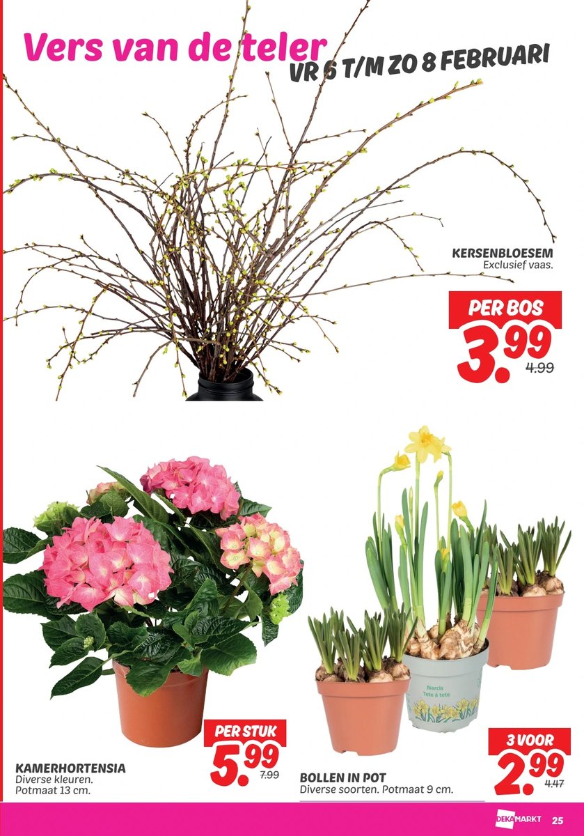 Dekamarkt folder – pagina 27
