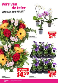 ORCHIDEE aanbieding bij Dekamarkt – geldig van 03.03.2026 t/m 09.03.2026
