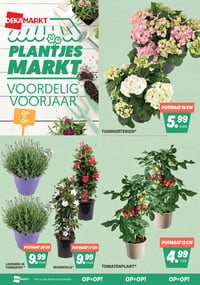 MANDEVILLE* aanbieding bij Dekamarkt – geldig van 07.04.2026 t/m 13.04.2026
