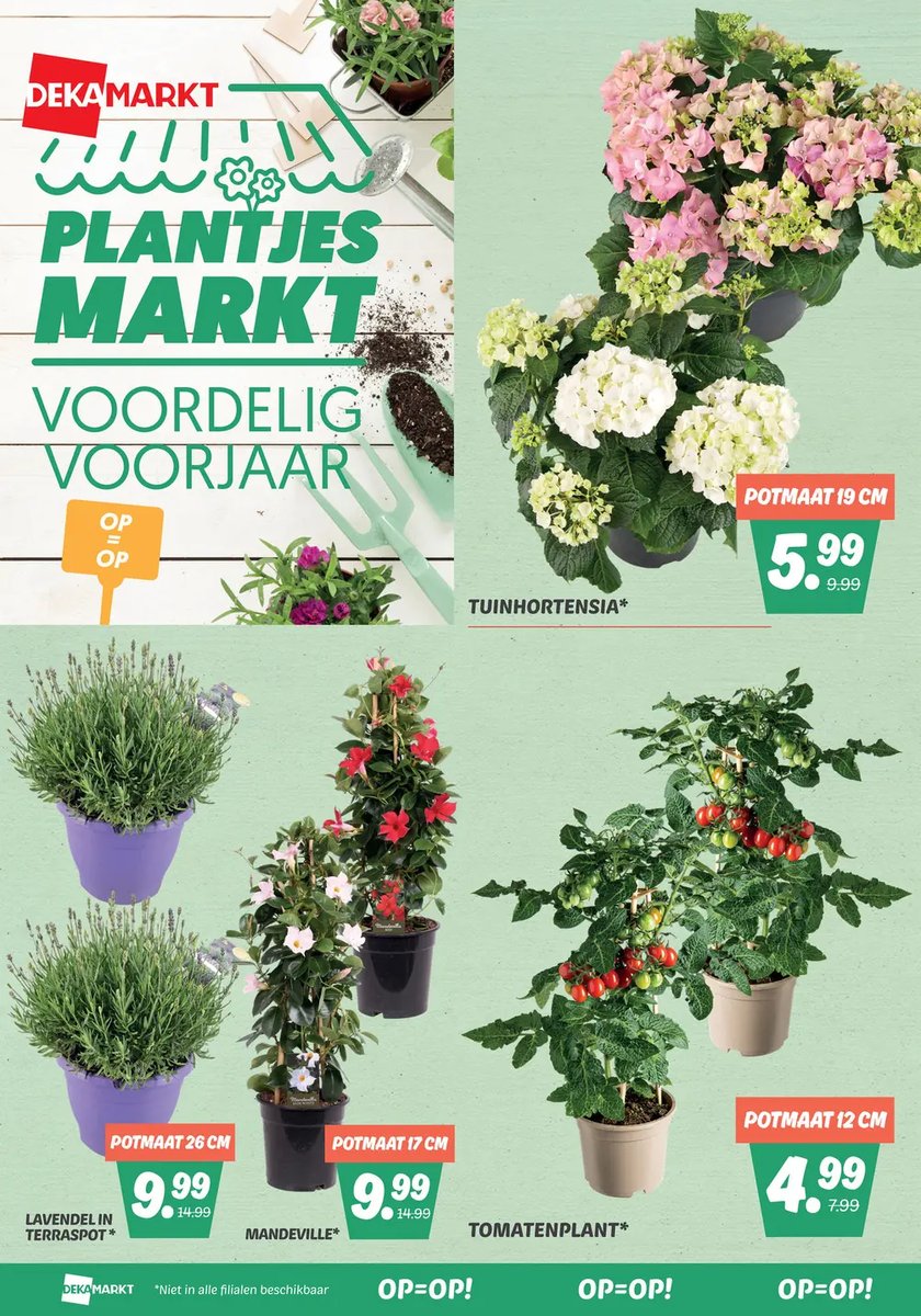 Dekamarkt folder – pagina 24