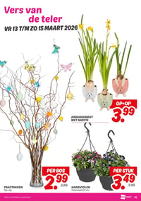 HANGVIOLEN aanbieding bij Dekamarkt – geldig van 10.03.2026 t/m 16.03.2026