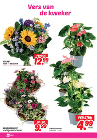 ARRANGEMENT VOORJAARSSCHAAL aanbieding bij Dekamarkt – geldig van 14.04.2026 t/m 20.04.2026