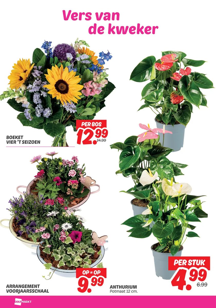 Dekamarkt folder – pagina 26