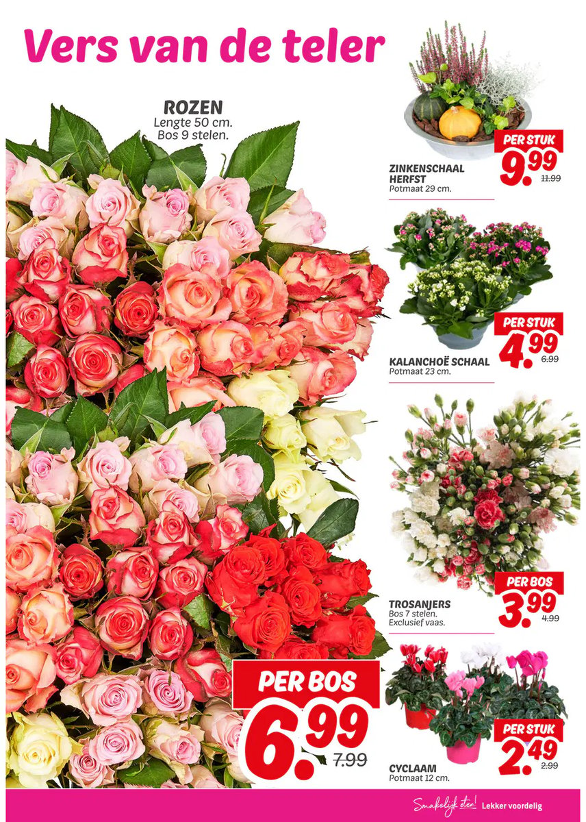 Dekamarkt folder – pagina 19