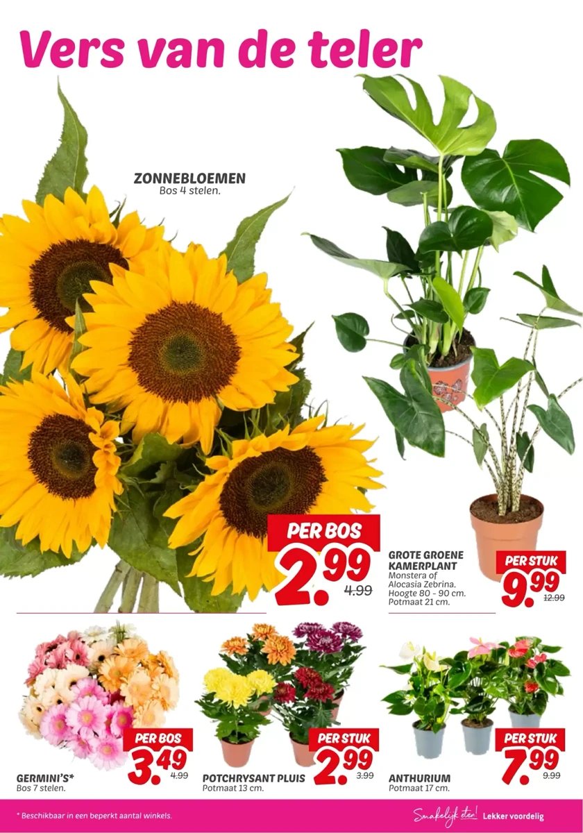 Dekamarkt folder – pagina 21