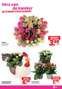 ROZEN aanbieding bij Dekamarkt – geldig van 24.03.2026 t/m 30.03.2026