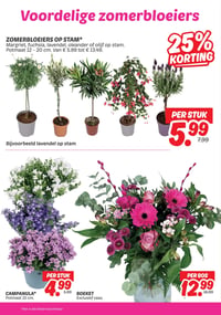 BOEKET aanbieding bij Dekamarkt – geldig van 28.04.2026 t/m 04.05.2026