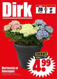 Hortensia of bloempot aanbieding bij Dirk – geldig van 05.04.2026 t/m 11.04.2026