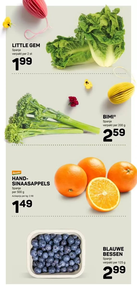 Ekoplaza folder – pagina 9
