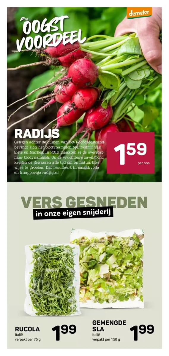 Ekoplaza folder – pagina 11