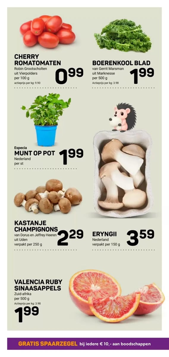 Ekoplaza folder – pagina 14