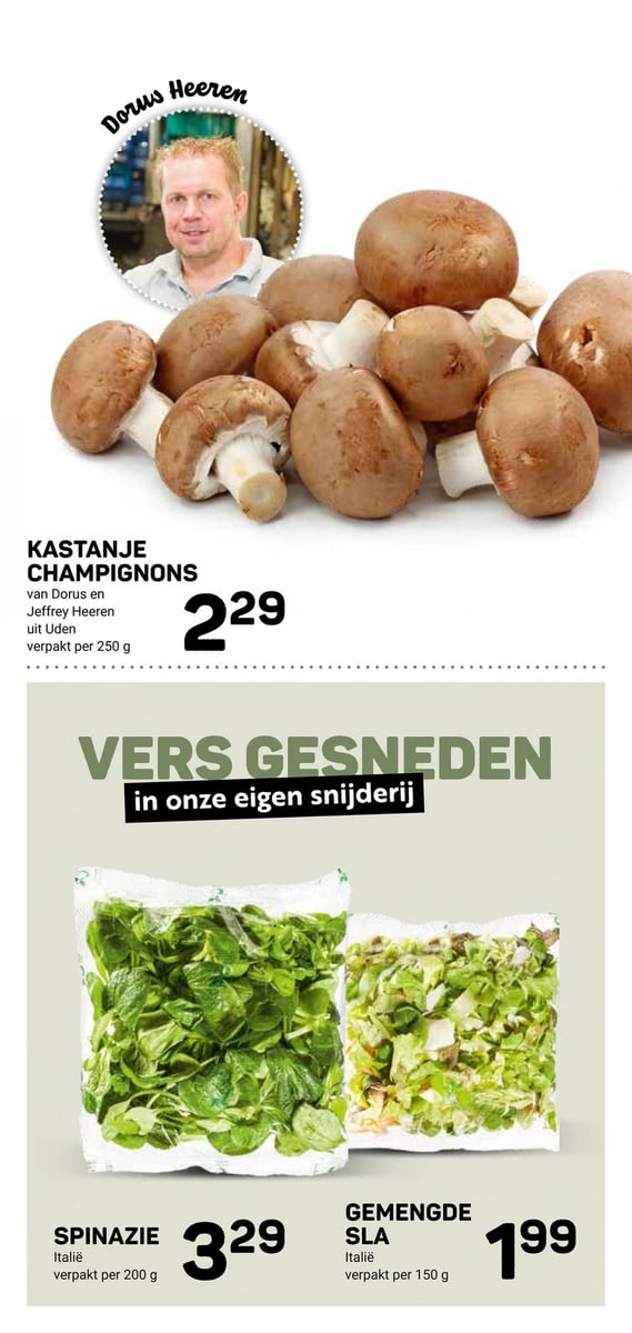 Ekoplaza folder – pagina 11