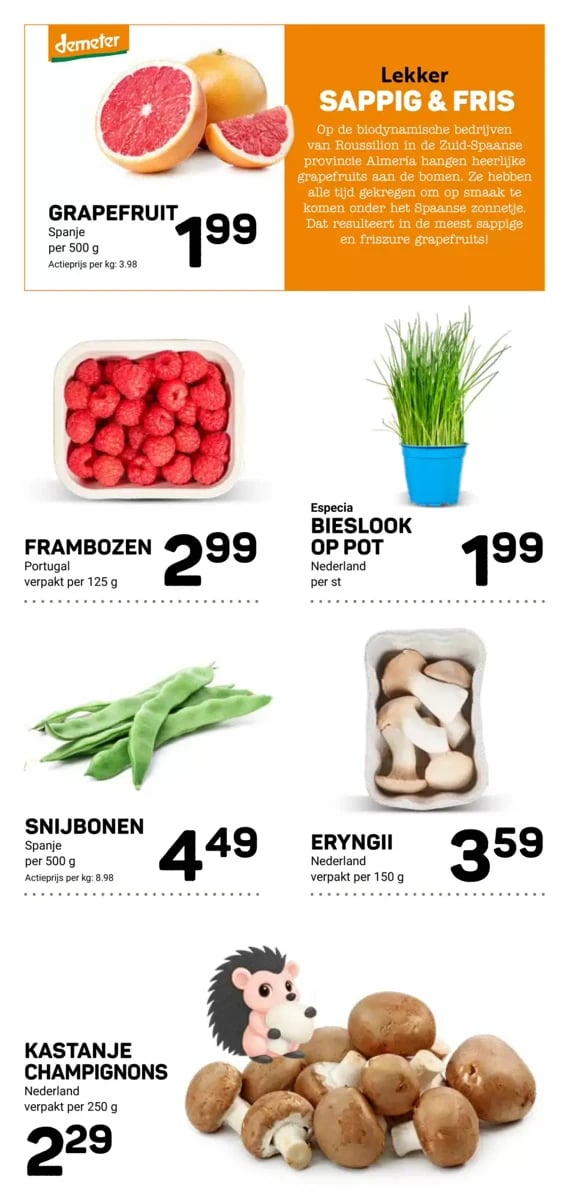 Ekoplaza folder – pagina 12