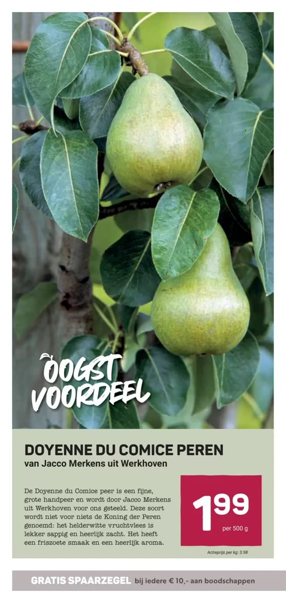 Ekoplaza folder – pagina 7